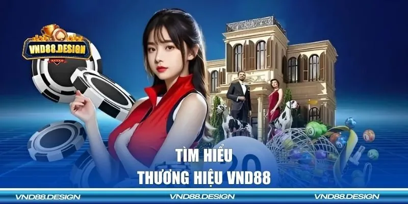 Tìm hiểu về thương hiệu VND88