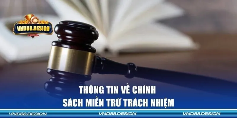 Chi tiết về chính sách miễn trừ trách nhiệm