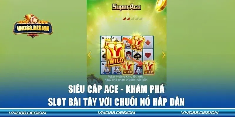 Siêu cấp Ace