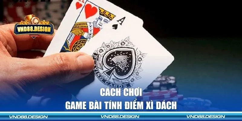 Chi tiết cách đánh Blackjack cho tân binh tham khảo