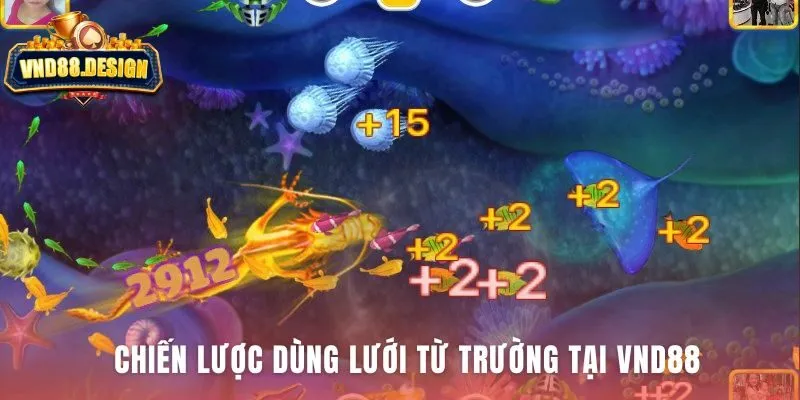 Chiến lược dùng Magnetic Net phân định cao thủ và nghiệp dư