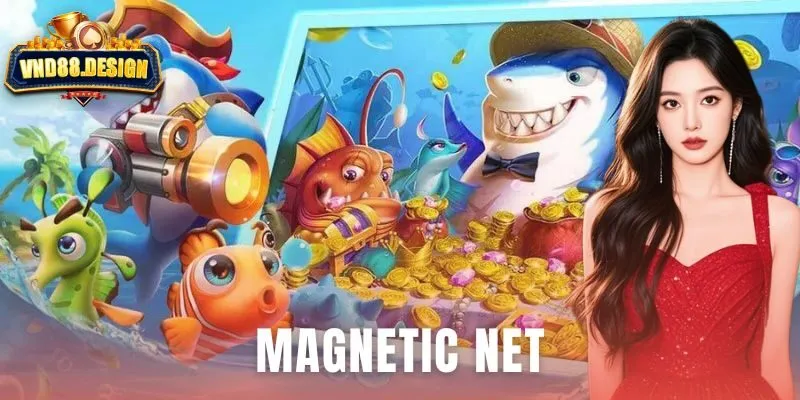 Magnetic Net